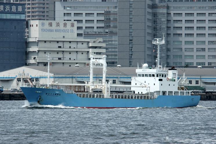 楽天市場】富貴蘭 風蘭 蘭 金剛宝 こんごうほう 1本立 【現品